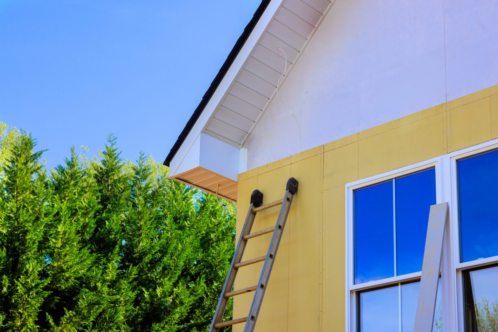 You are currently viewing What Makes a Professional Paint Job Last Longer?